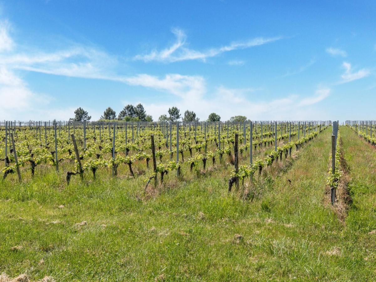 Lovely Chateau 25 Min From Bordeaux Villa Cezac  Exterior photo